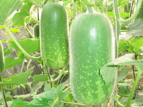 忆梦吃瓜,揭秘娱乐圈背后的那些事儿