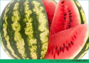 今日吃瓜天天吃瓜