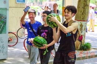 学院吃瓜墙,校园热点事件大追踪