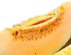 吃蜜瓜导致溃疡,揭秘吃蜜瓜引发溃疡的惊人真相