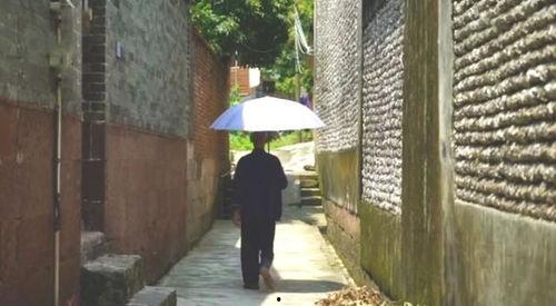 瀛洲山房吃瓜事件,揭秘网络舆论的风暴与反思