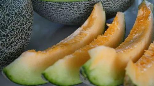 带你吃瓜健身环,带你轻松塑形享健康生活