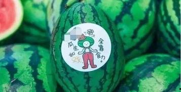 吃彩虹吃瓜,探寻缤纷色彩中的甜蜜与瓜趣