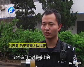 吃瓜群众偷钱被抓,揭秘偷窃背后的真相