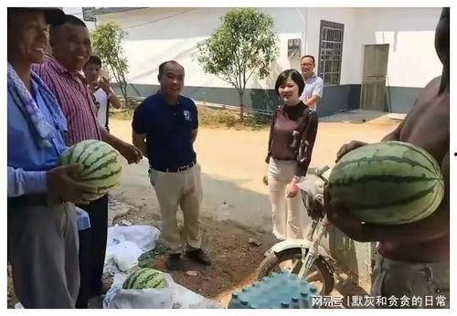 吃瓜事件近期,揭秘网络舆论背后的真相与反思