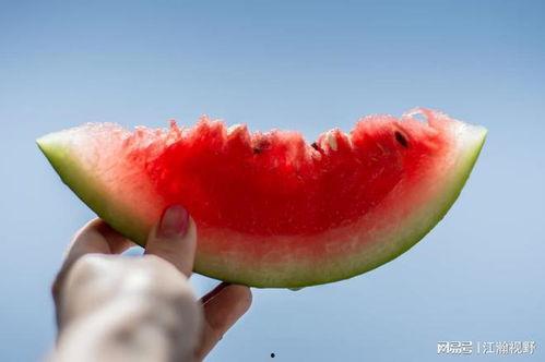 吃瓜简单又好画,轻松绘趣