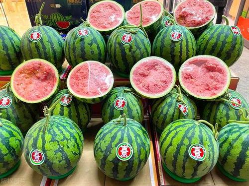 51朝阳今日吃瓜