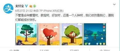 失恋吃瓜的文案,揭秘分手背后的甜蜜与苦涩