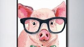 吃瓜拜佛猪头,揭秘网络流行语的趣味与内涵