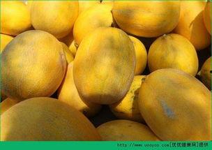 吃哈密瓜会饱,夏日消暑美食，轻松吃出饱腹感