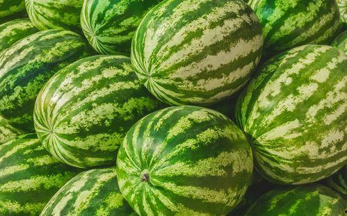 怎么找吃瓜,如何轻松找到最新最热的瓜源