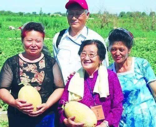 吃瓜教授密码,揭秘网络红人的幕后故事