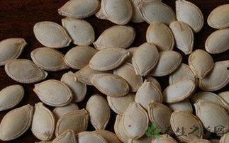 吃角瓜不去籽,尽享美味新体验