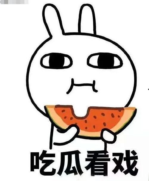 吐糟吃瓜,揭秘娱乐圈幕后真相