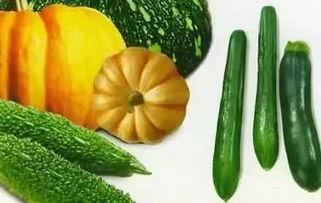 财经吃瓜党,财经圈那些鲜为人知的“吃瓜”故事