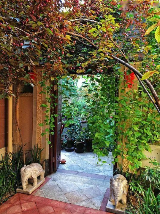 坐在院子里吃瓜,瓜香四溢，共享悠闲时光