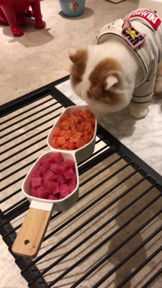 吃夜宵吃到瓜了,揭秘那些让人欲罢不能的深夜美食