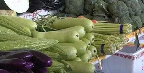 大象吃葫芦瓜视频