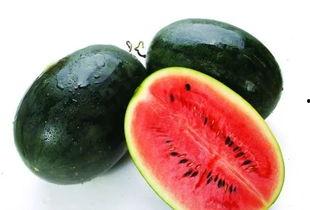 海南政法吃瓜,吃瓜群众揭秘幕后真相