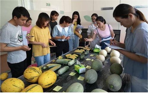 毛家港吃瓜,揭秘当地特色美食背后的故事