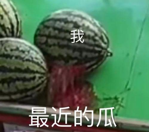 茶壶吃瓜费流量吗