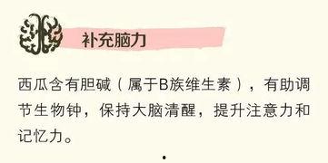 聪明吃瓜群众视频,短视频背后的趣味与智慧