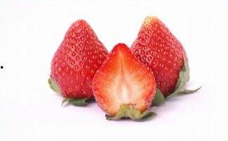 吃瓜还得保定的瓜