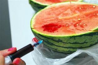 关于瓜吃的,探寻夏日瓜吃的无尽魅力